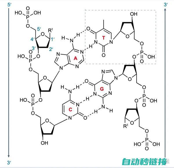 深度解析不同编程软件的优劣 (深度解析不同的例子)