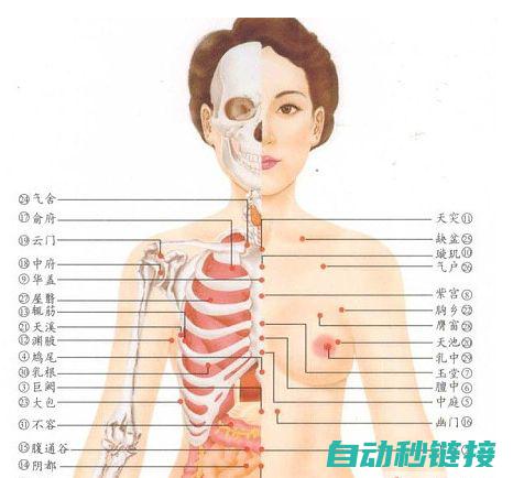 全方位剖析库卡机器人通讯体系架构 (全方位剖析库是什么)