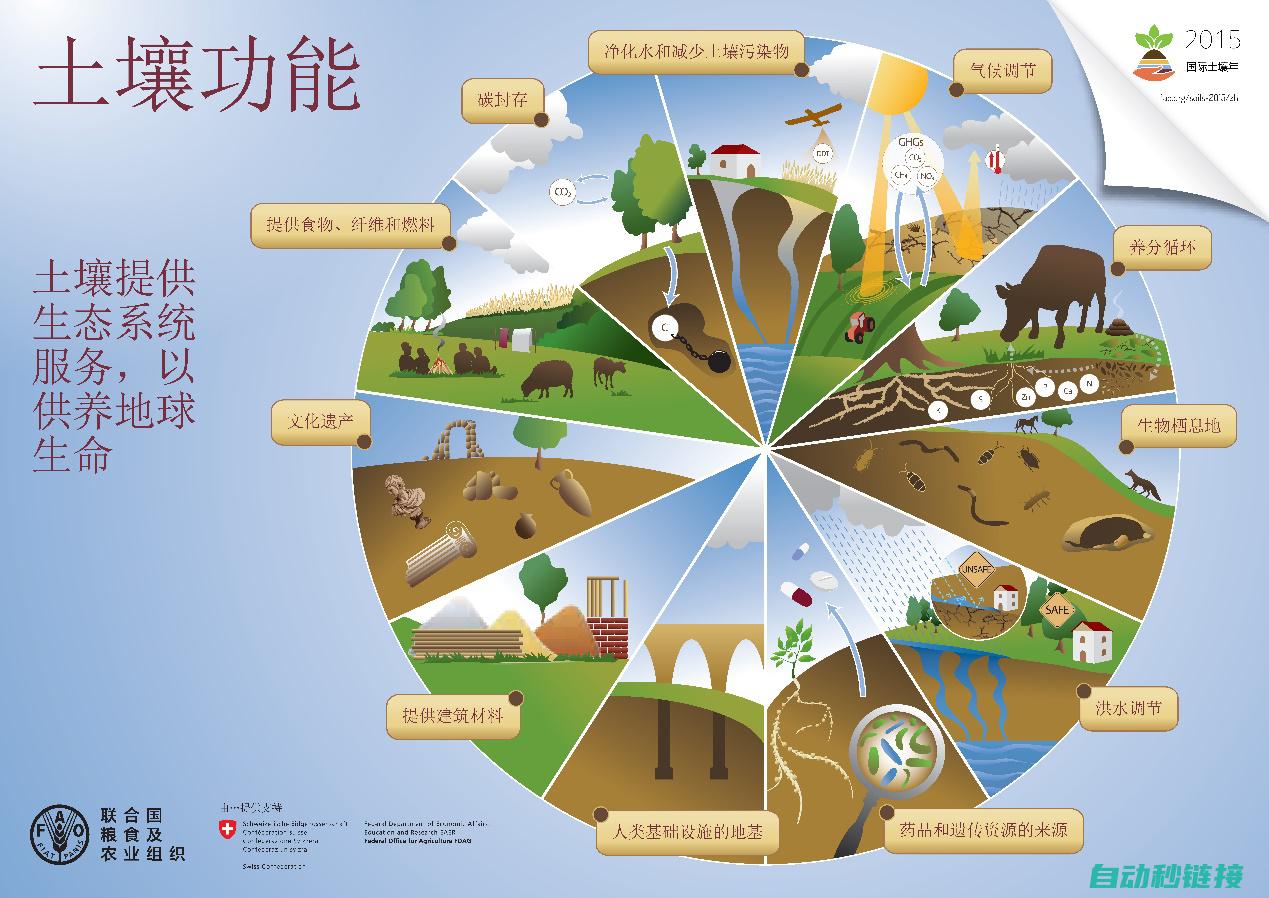 多样化的功能及应用场景满足多样化需求 (多样化的功能英文)