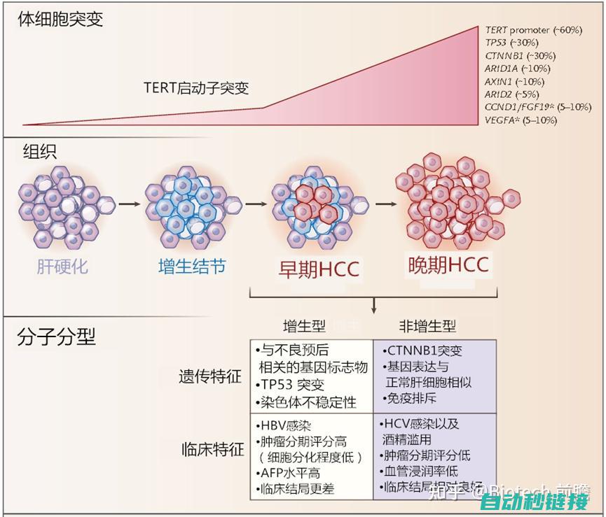 包含各个阶段的维修技巧与实践经验分享。 (包含各个阶段的词语)